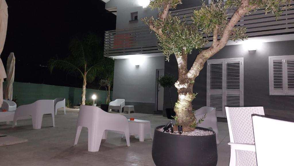 Il cortile con ulivo, di sera